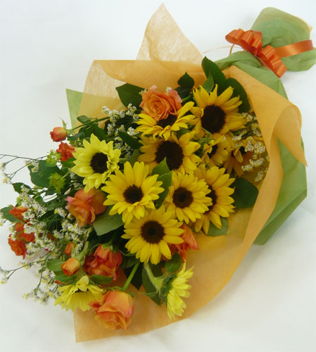 ����ԁ@���ԉԑ�/�Ђ܂��u�[�P�k